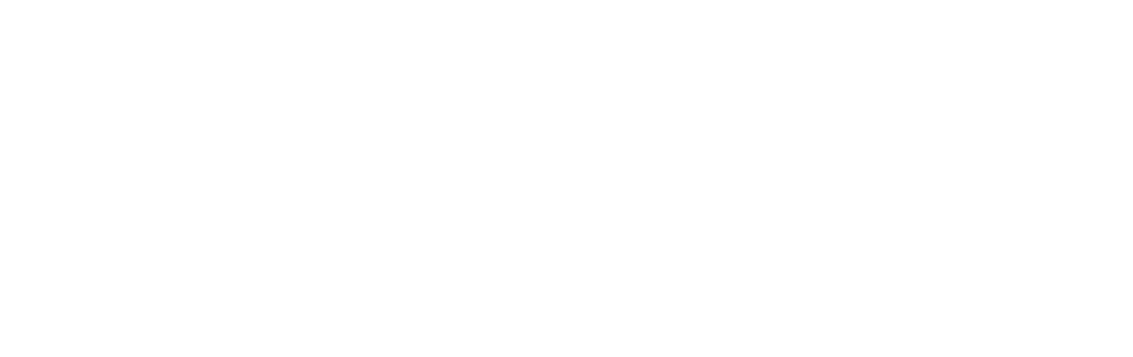 Visit Media Digital Marketing Agency White Logo